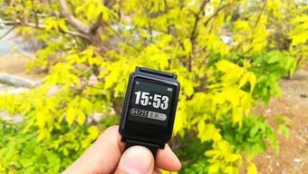 有了這些科技產品，你絕對瘦得起！